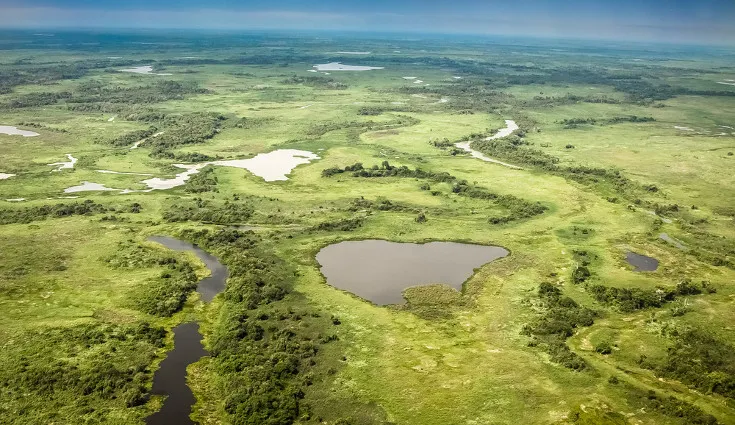 Biomas brasileiros: Pantanal