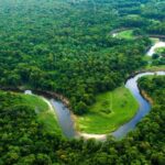 Biomas brasileiros: Mata Atlântica