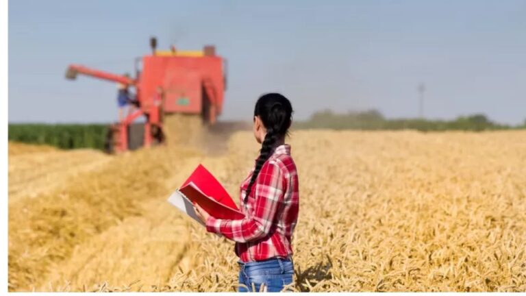 Mulheres têm maior protagonismo no agronegócio nos últimos anos