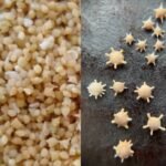 Conheça a praia de Okinawa que tem grãos de areia em ‘forma de estrelas’