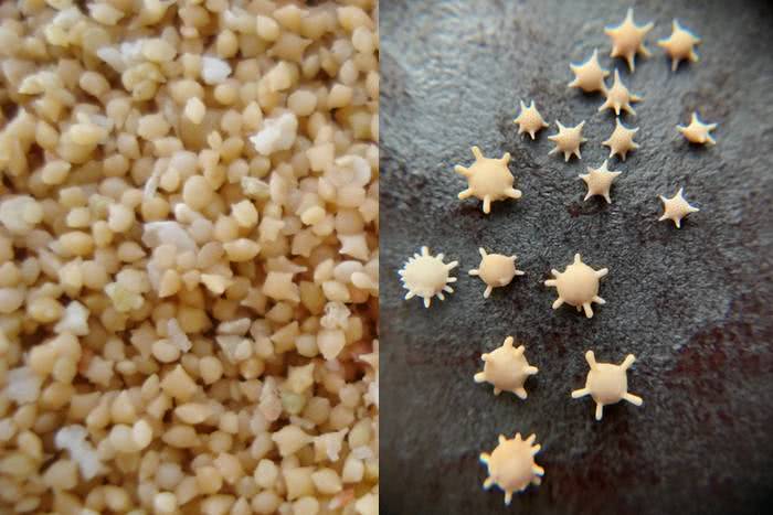 Conheça a praia de Okinawa que tem grãos de areia em ‘forma de estrelas’