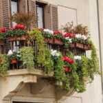 Descubra as melhores flores para cultivar na varanda