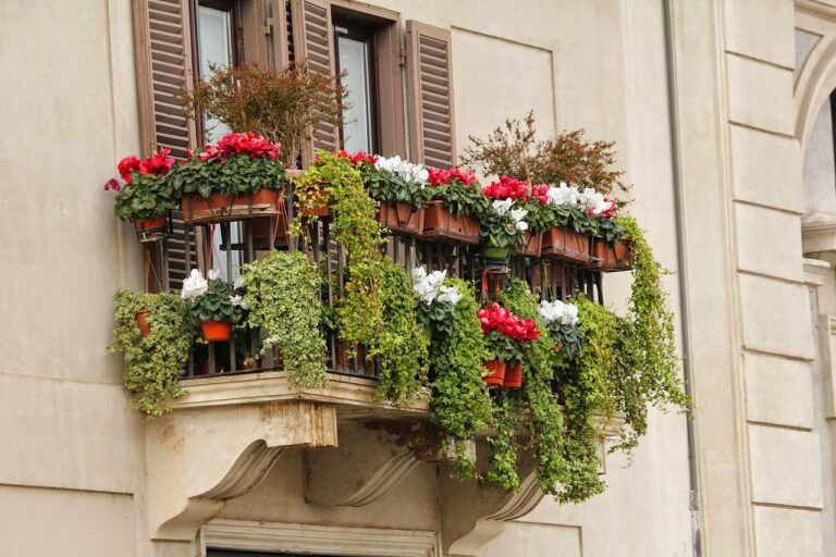 Descubra as melhores flores para cultivar na varanda