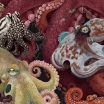 Retratos da vida marinha destacam a incrível biodiversidade do oceano