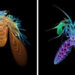 Arte de insetos feita com fractais