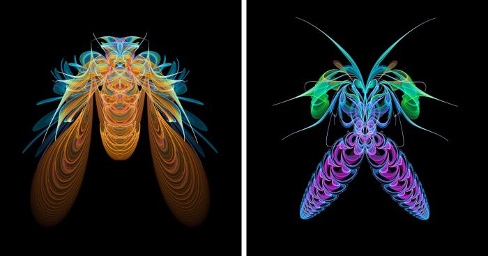 Arte de insetos feita com fractais