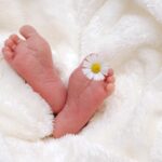 Nomes de bebê inspirados em lindas plantas