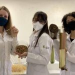 Alunas criam absorvente com resíduos industriais e vencem premiação