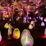 Instalação imersiva toma conta de um jardim botânico japonês