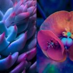 Fotógrafo revela a beleza psicodélica das plantas à noite