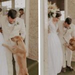 Recém-casados ​​adotam o cão que invadiu seu casamento