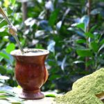 Erva-mate