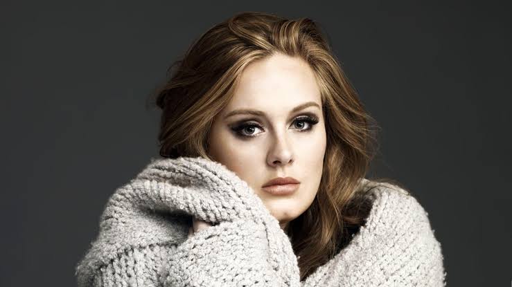 Adele interrompe show e ajuda fã que passava mal