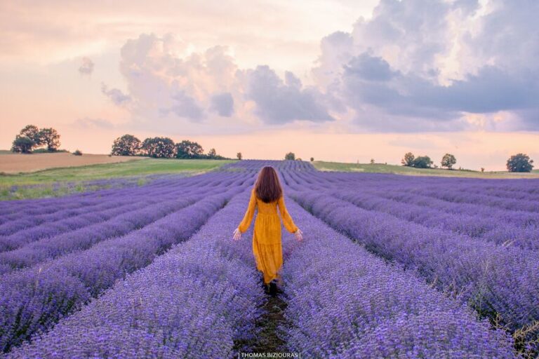 Um conto de fadas de lavanda