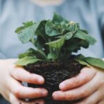 A jovem cientista brasileira premiada por popularizar o consumo de plantas silvestres