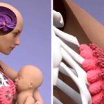 Vídeo mostra como a ‘magia’ da amamentação funciona