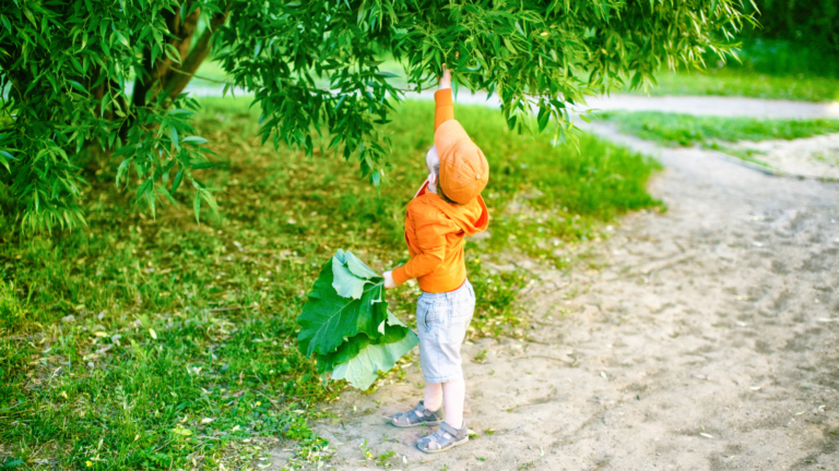 Aprenda a fazer “carimbos” de folhas com as crianças