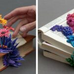 Livros descartados encontram uma segunda vida