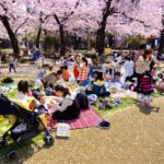 Hanami: o costume japonês de apreciar as flores