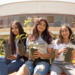 Iniciativa quer plantar miniflorestas em 650 escolas públicas