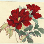 HanaKotoba – A linguagem das flores no Oriente