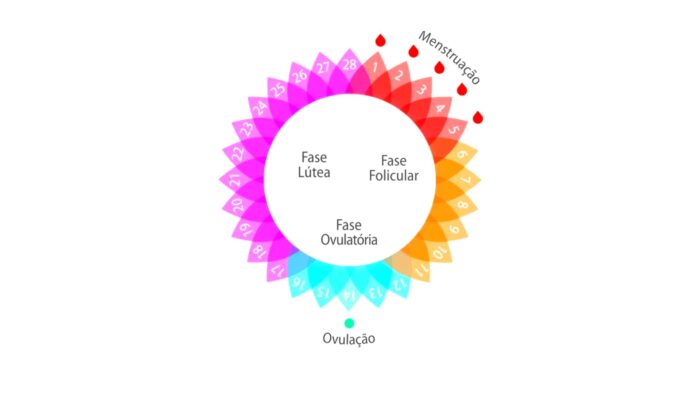 Fluxo menstrual – Volume, intensidade, fases, cores e irregularidades ...