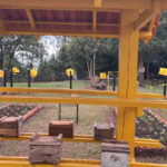 Horta comunitária em escola vai produzir 900 kg de mel