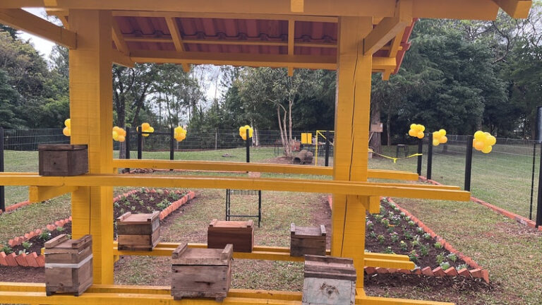 Horta comunitária em escola vai produzir 900 kg de mel