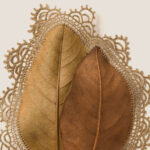 Artista adorna folhas secas com desenhos complexos de crochê