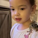 Sapo e menina viram melhores amigos