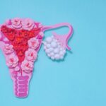 O que é ovulação e quando ocorre no ciclo menstrual?