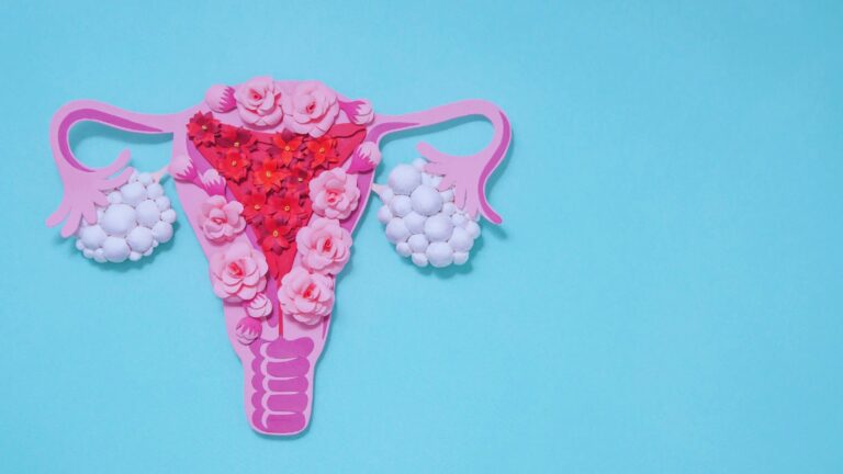 O que é ovulação e quando ocorre no ciclo menstrual?