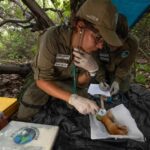 Documentário: Mulheres na Conservação ambiental do Brasil