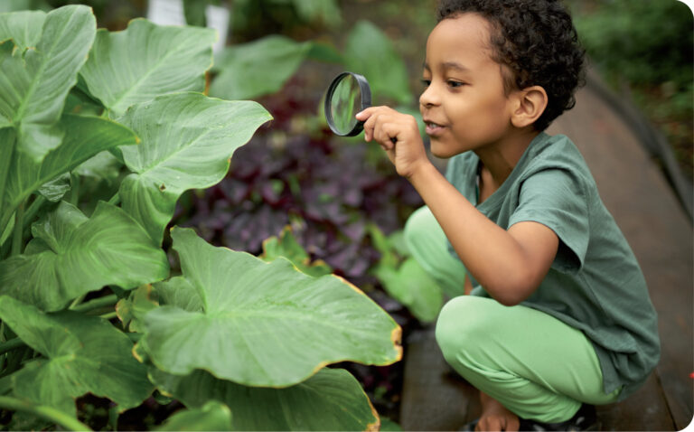 Crianças curiosas: o que as plantas fazem o dia todo?
