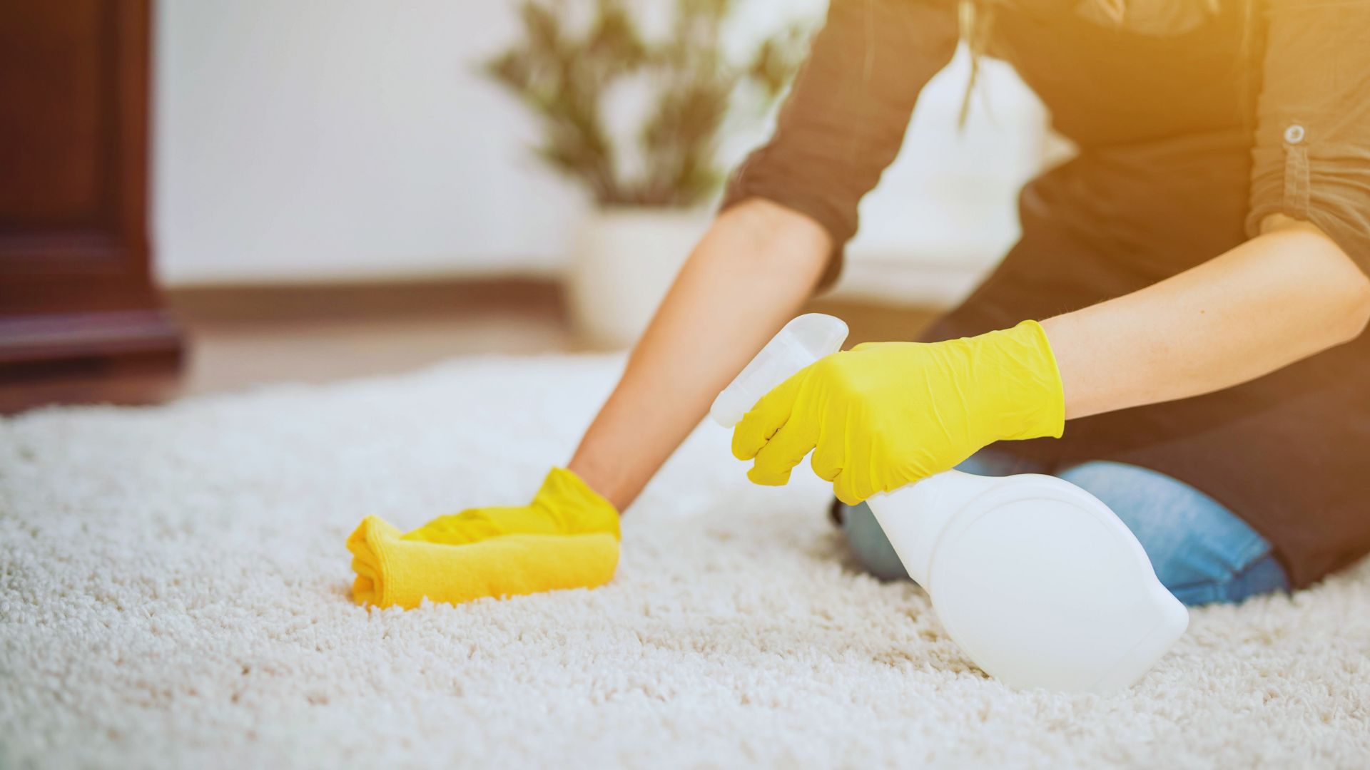 Como limpar cortinas, persianas, tapetes e carpetes