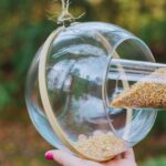 Comedouro de passarinho: passo-a-passo para alegrar seu lar