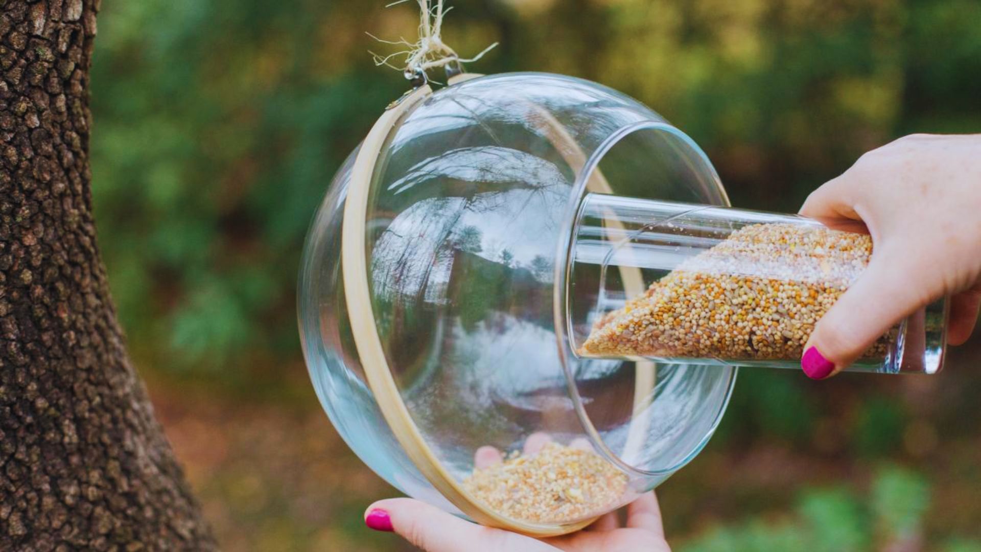 Comedouro de passarinho: passo-a-passo para alegrar seu lar