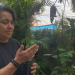 ‘Quando eu falei que plantava maconha, virei a traficante da rua’