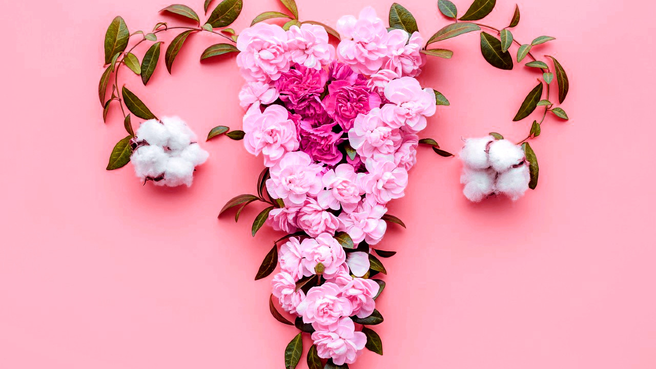 Probióticos para flora íntima: o que são e principais benefícios