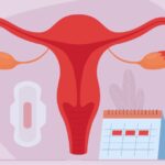 Entenda o que é a nidação, o que faz e quando acontece