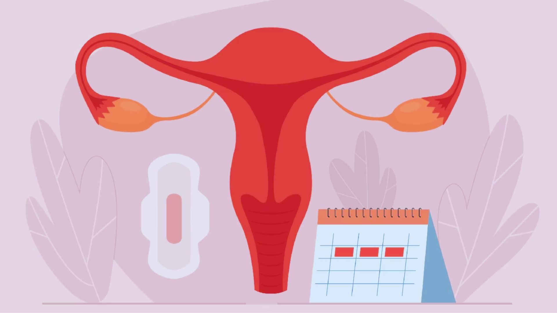 Entenda o que é a nidação, o que faz e quando acontece