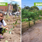 Crianças de Jundiaí celebram 1 ano da floresta que plantaram