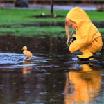 Refletindo sobre a pureza