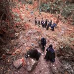 Camping EDL – Círculo Unebrasil 2023