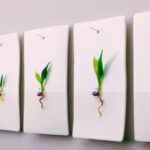 Artista Nataliya, molda a força das sementes em brotos de vidro