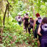 Trilha da Cachoeira – Camping EDL