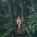 Banho de floresta pode aliviar sintomas da ansiedade e depressão