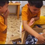 Mãe faz surpresa a filho que sonhava em ter um gatinho