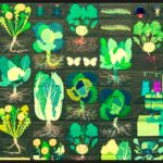 Dupla artística francesa explora as relações entre escultura, natureza e artesanato
