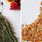 Criei lindos vestidos usando leguminosas, frutas e legumes